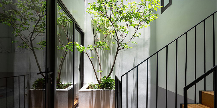 thiết kế giếng trời nhà phố