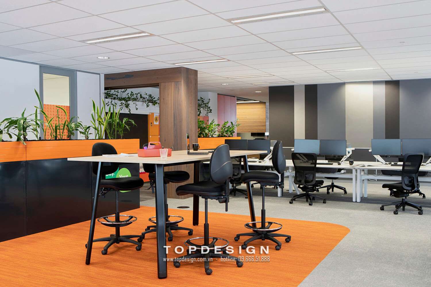 mẫu thiết kế nội thất văn phòng công ty TOPDESIGN