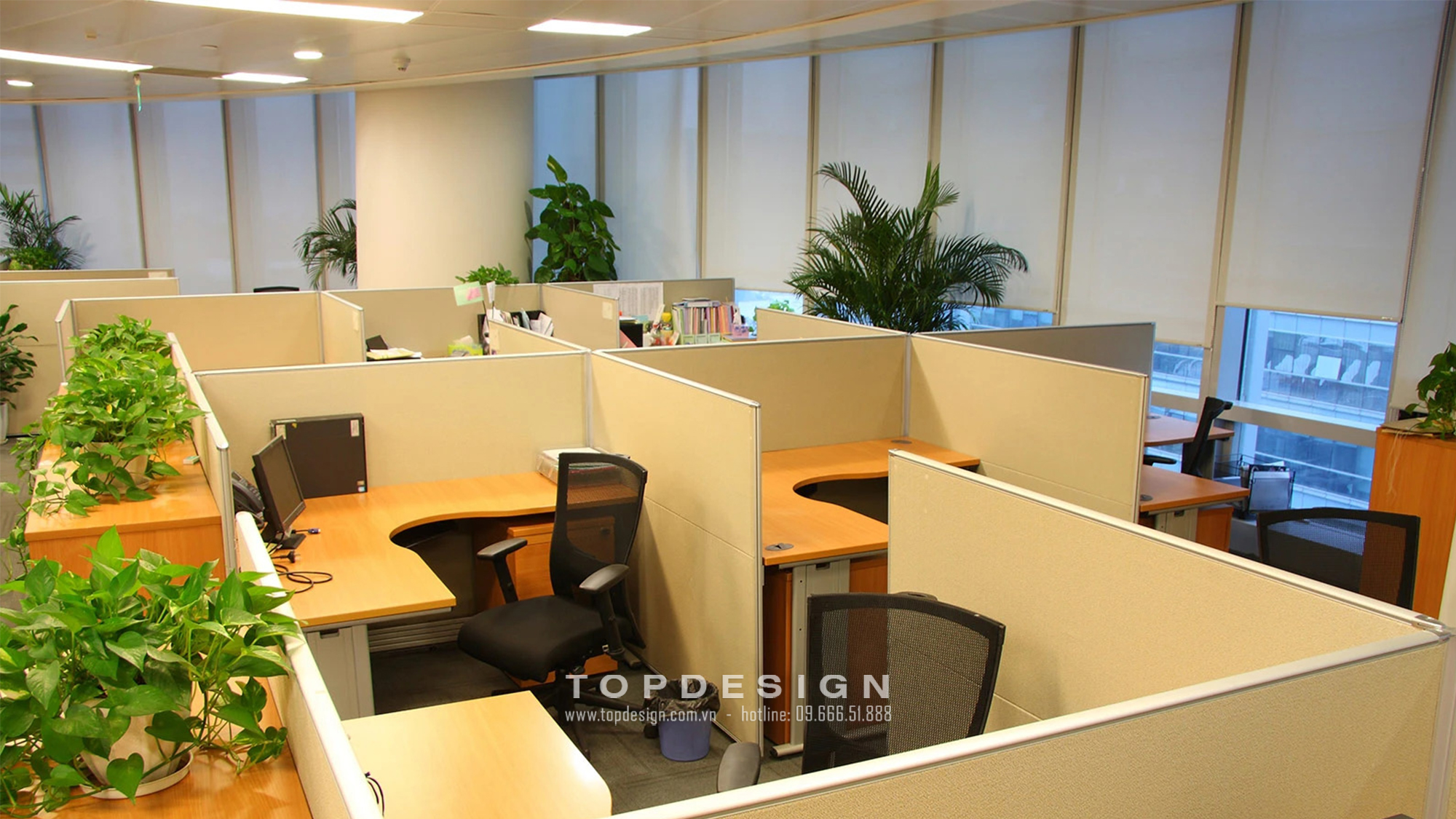 Trang trí cây xanh cho văn phòng _ TOPDESIGN 1