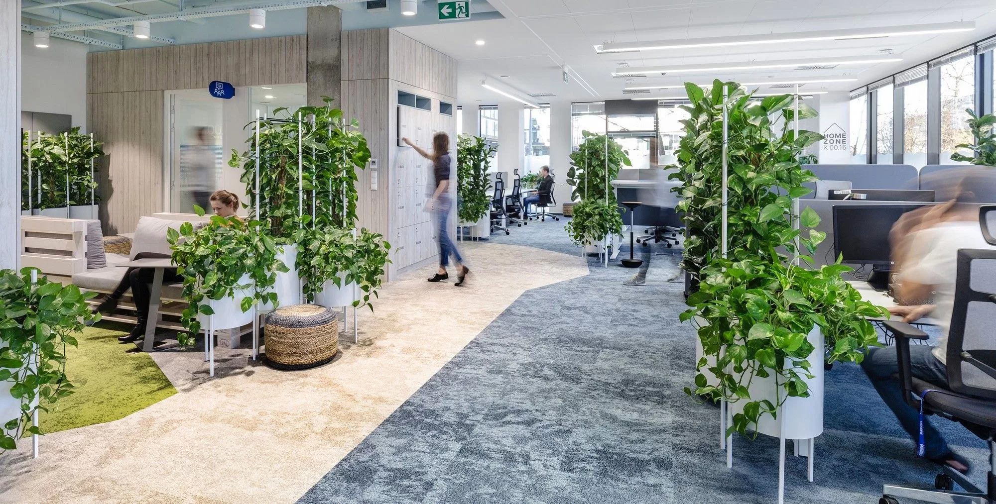 8. Thiết kế cây xanh trong văn phòng - Topdesign